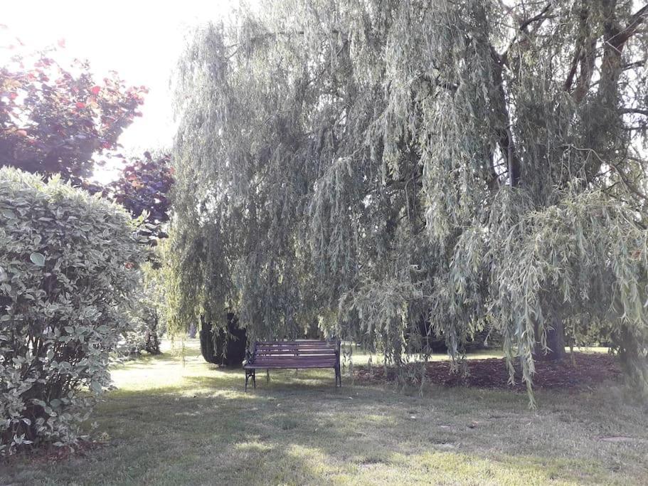 Un Petit Coin De Paradis Clairfontaine Bagian luar foto